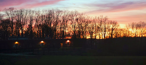 Graybeal Fields - Visual