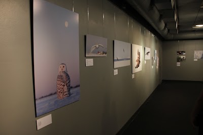 museum
