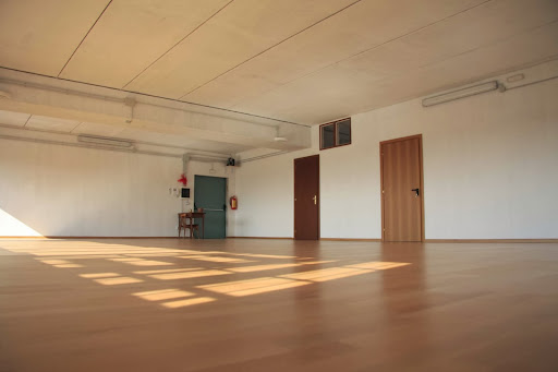 BIODANZA ROMA - Thumbnail