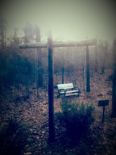 Photos of Uchee Pines Institute