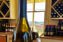 Chamisal Vineyards, San Luis Obispo, United States