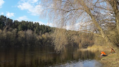 Photos of Lesopark Lososno