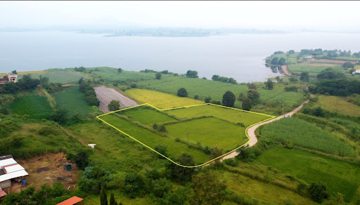 Premium dam-touch farmland in Igatpuri available for farmhouse or long-term land investment near… post image