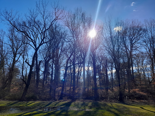 Baederwood Park - Thumbnail