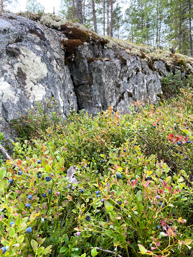 Starten till klintstigen Gallery - Sweden