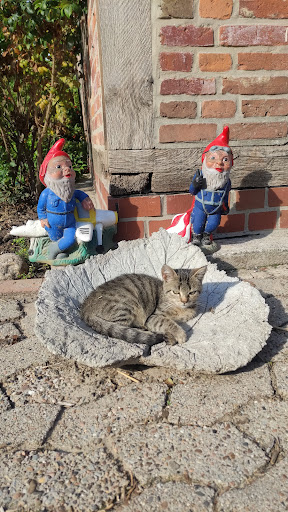 Campingfass Milchschafhof - Thumbnail
