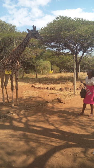 Photos of Parkview Safari Hotel And Apartments