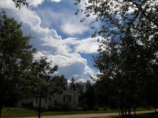 Judy Boman - Realtor Better Homes And Acres Gladwin County - Thumbnail