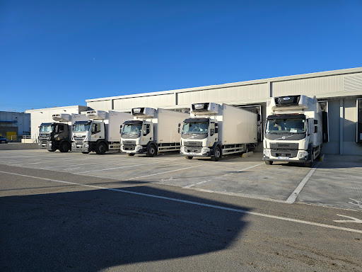 Gictrans - Visual