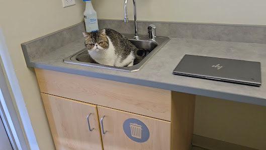 Photo of Veterinary Specialty Center Vídeos