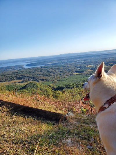 Bench Overlook