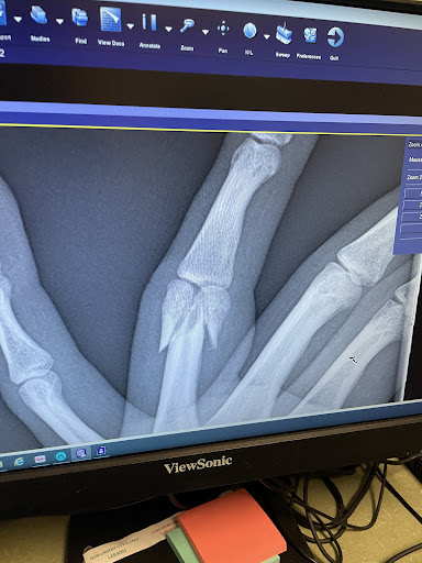 NH Orthopedic Center Nashua - Thumbnail