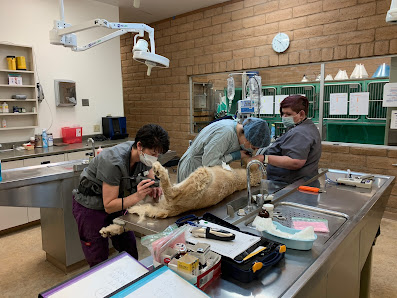 Photo of Truckee Meadows Veterinary Hospital Todas