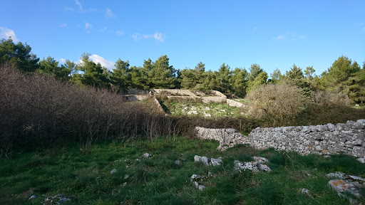 Bosco Del Trullo Di Sopra