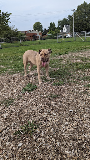 Goderich Dog Park - Thumbnail