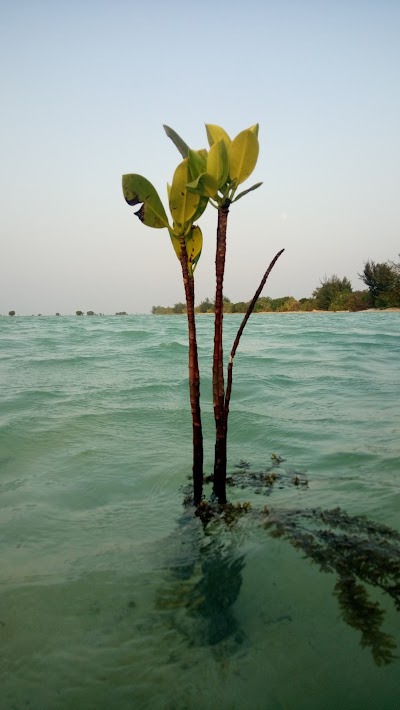 Photos of Thousand Islands National Park Office