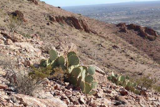 Picacho Peak Recreation Area - Organ Mountains-Desert Peaks National Monument - Thumbnail
