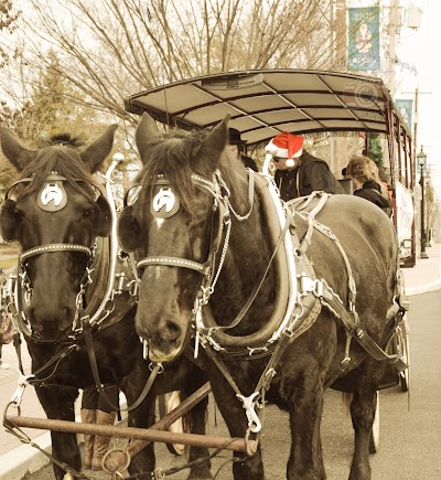 Victorian Carriage Company Guided Battlefield Tours