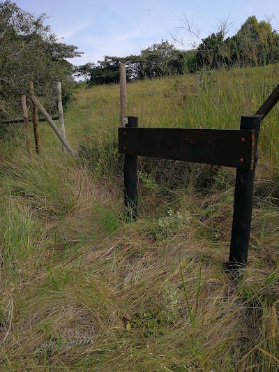 Photos of Nkutu Picnic Site, Krantzkloof Nature Reserve