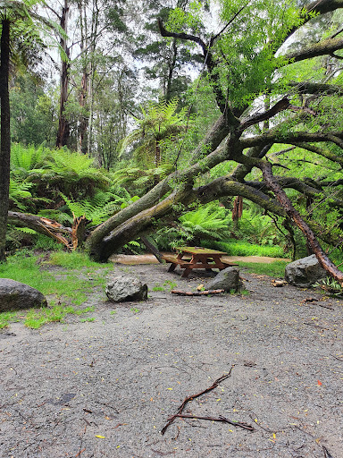 Kensleys Picnic Area Gallery - Australia