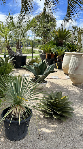 Photo de Normandie Palms à Val-de-Reuil (27100)