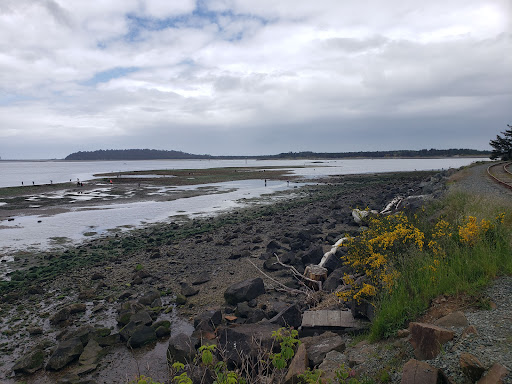 Crabbing Dock - Visual