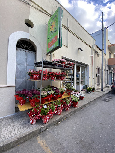 Fiori Stella - Agenzia Funebre Caiazzo