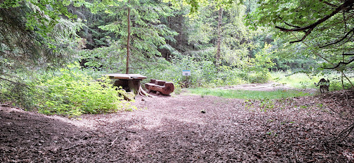 Wildkatzenpfad Banzer Wald - Thumbnail