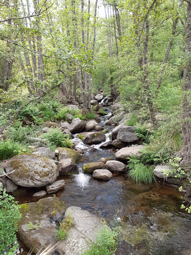 garganta de El Endrinal