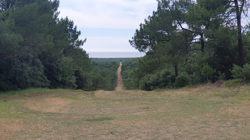 Parking Forestier du Gardour - Thumbnail