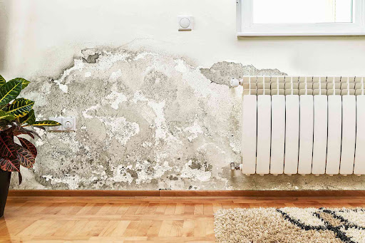 Damp Proofing Northern Ireland - Damp Works NI - Thumbnail