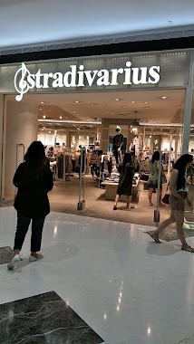 Stradivarius, Author: Handry Carlos