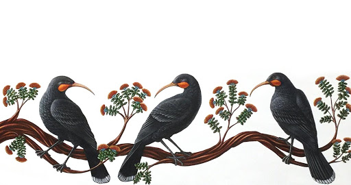 Kotare Art Studio and Gallery
