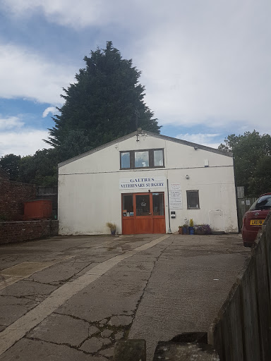 Galtres Veterinary Surgery - Thumbnail
