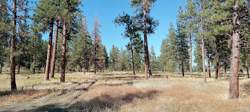 Magone Lake RV Site - Thumbnail