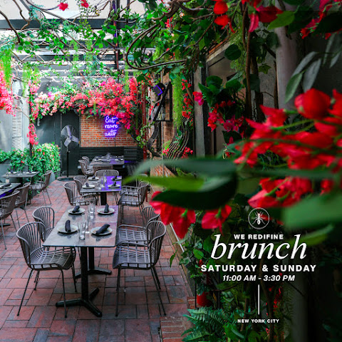 The Black Ant by null