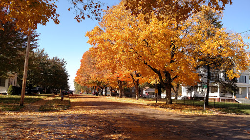 Stevens Square Park - Thumbnail