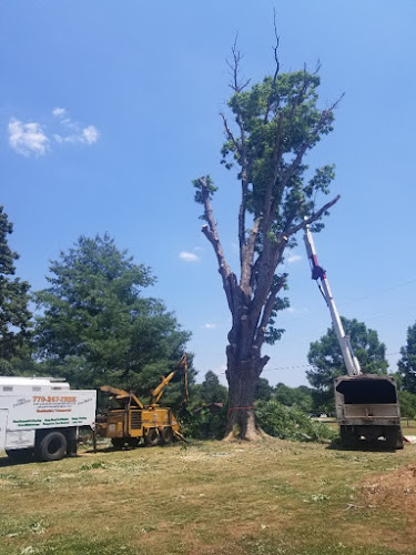 Premier Tree & Shrub Care, LLC