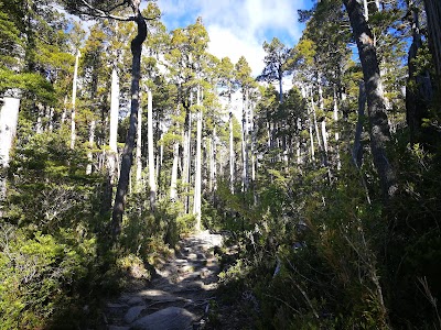 Photos of Eingang Alerce National park