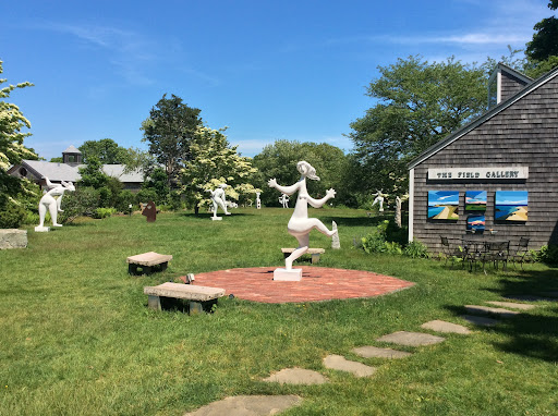 Field Gallery - Visual