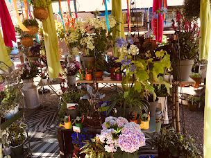 Photo n°8 de Aux Fleurs d'Antan à Aubigné-Racan (Fleuriste)