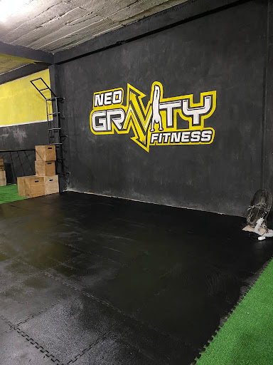 Neo Gravity - Visual