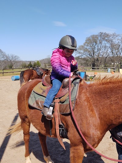 Dark Horse Horsemanship & Hearts in Harmony