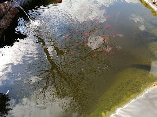 Nittendorf - Visual