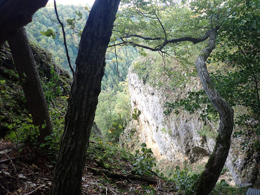 Schwarzerwand
