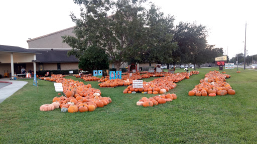 Deer Park United Methodist Church - Thumbnail