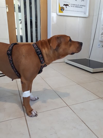 Photos of Specijalistička veterinarska praksa Mustać