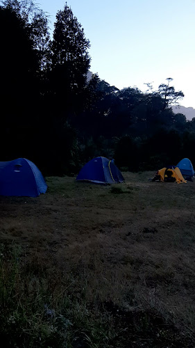 Opiniones de Camping Playa Los Manzanos en Cochamó - Camping