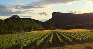 Photo n°1 de Château de Valflaunès à Valflaunès (Vignoble)