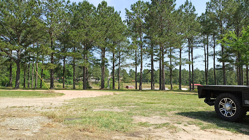 Camp Grace - Visual